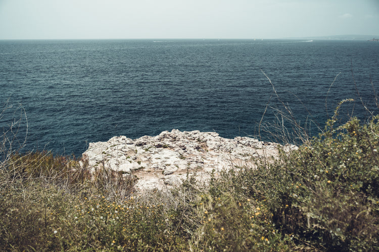 LANDSCHAFT