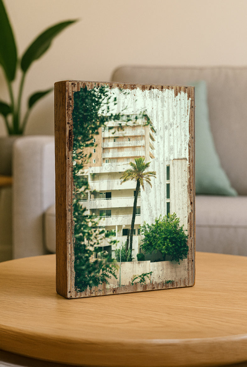 BACKYARD PALM TREE