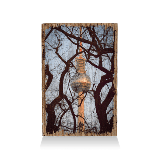 Der Alex - TRVL LOVR Online Shop