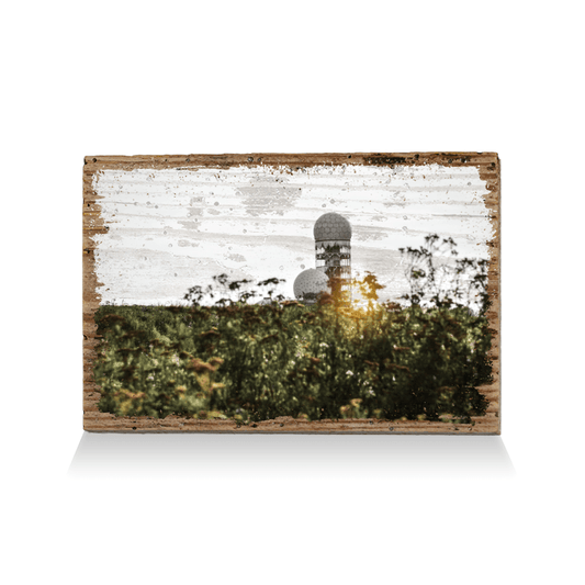 Top Secret Sunlight - TRVL LOVR Online Shop