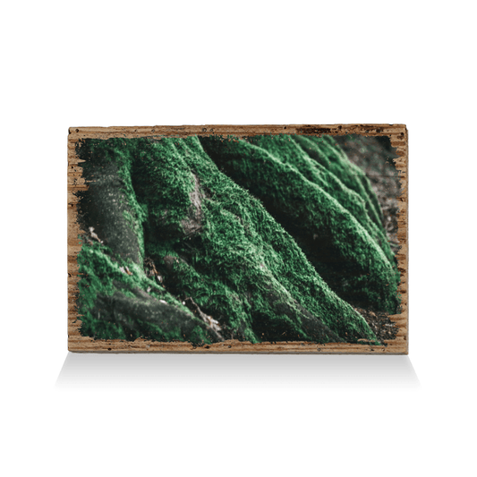 Green Nature - TRVL LOVR Online Shop