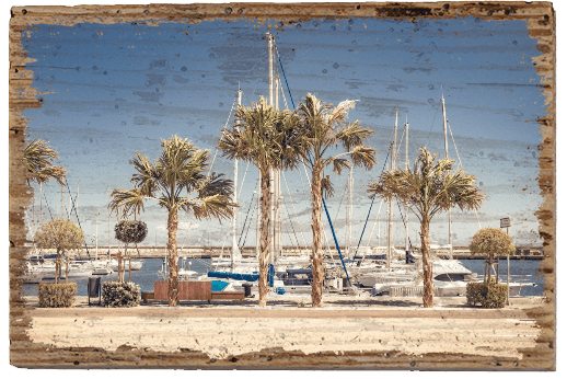 Summer Boat - TRVL LOVR Online Shop