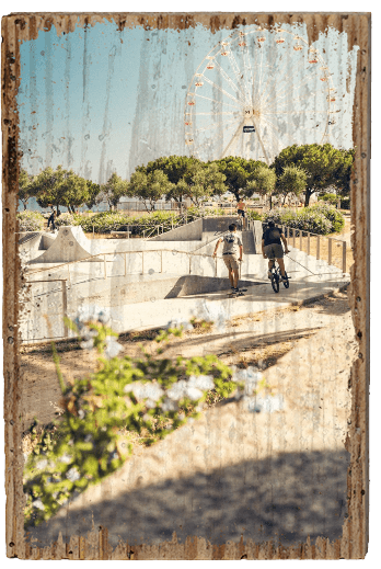 Half Pipe Dudes - TRVL LOVR Online Shop