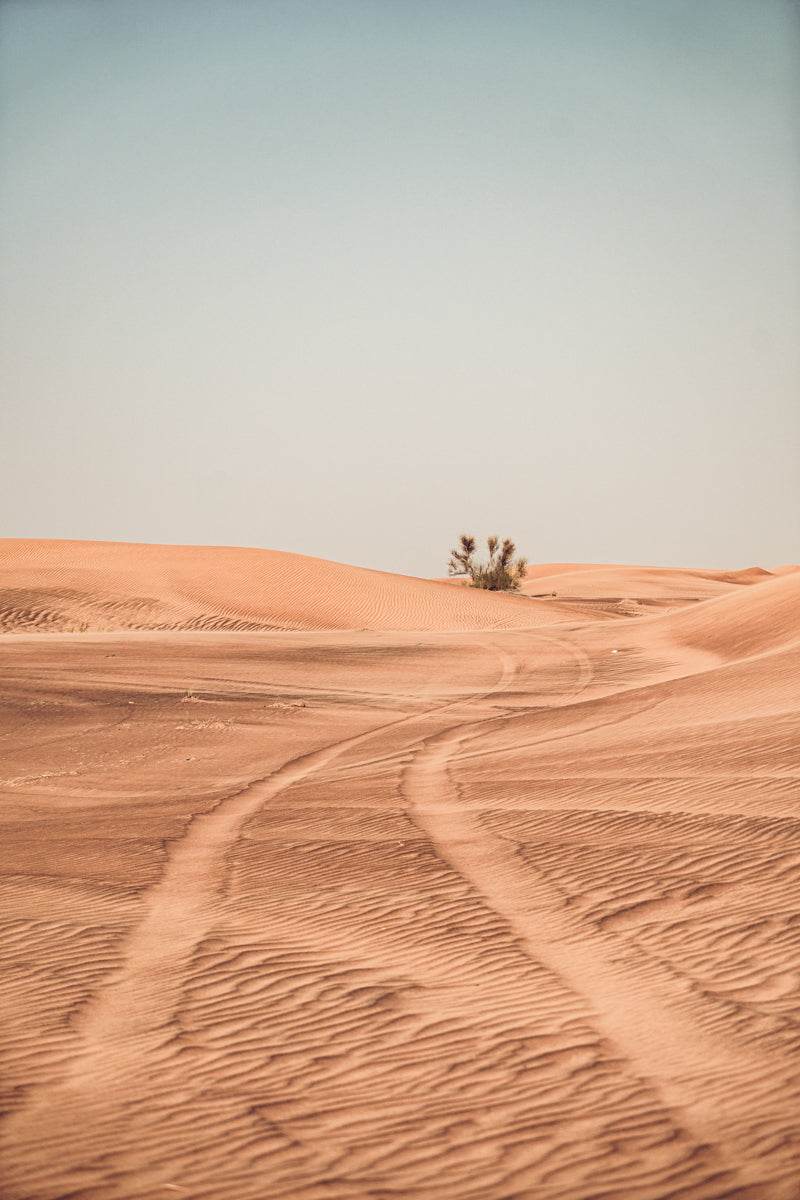 Journey into the Desert - TRVL LOVR Online Shop