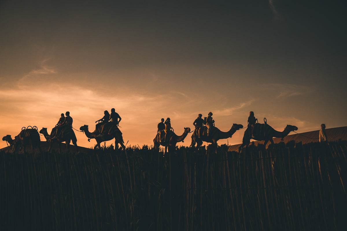 Camels - TRVL LOVR Online Shop