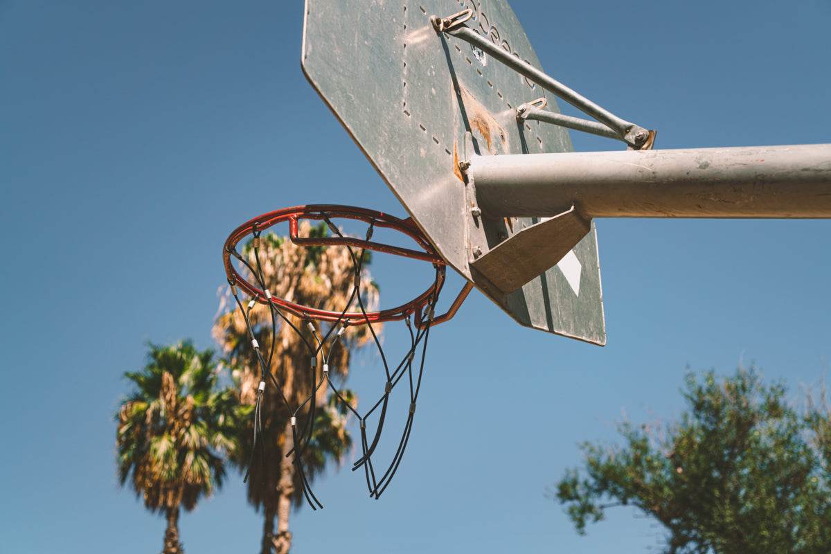 Basketpalms - TRVL LOVR Online Shop