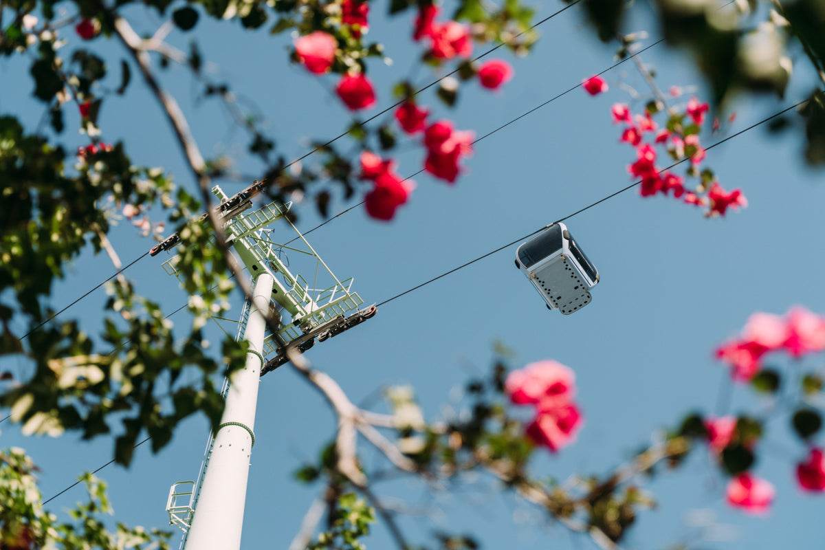 Cable Car Madeira - TRVL LOVR Online Shop