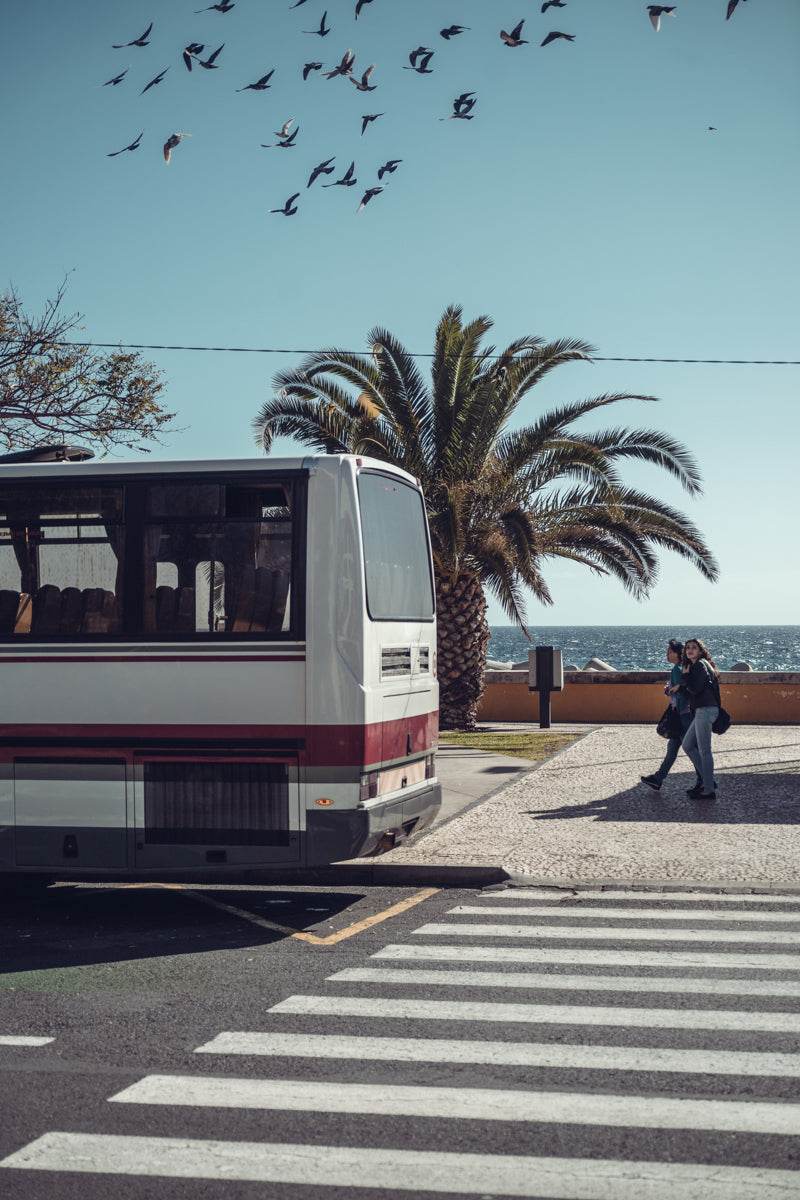 Bus to Paradise - TRVL LOVR Online Shop