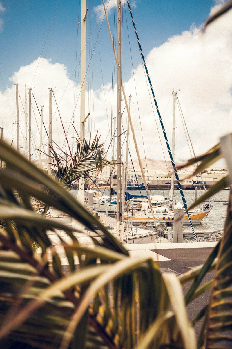 Boat Harbor - TRVL LOVR Online Shop