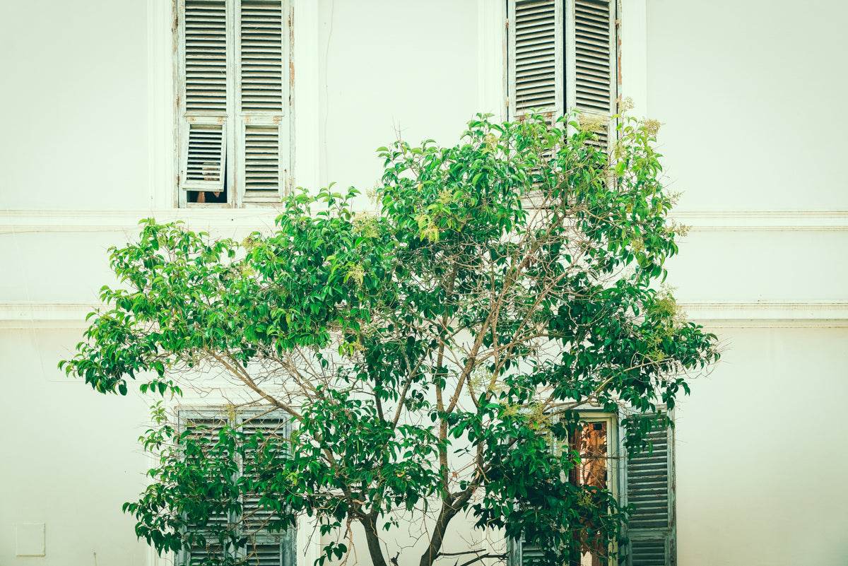 Maison Nature - TRVL LOVR Online Shop