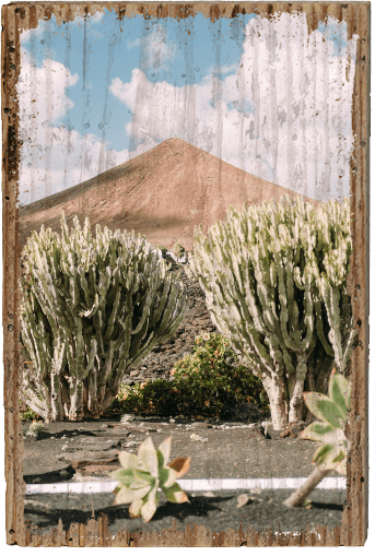 Camino Natural de Fuerteventura - TRVL LOVR Online Shop