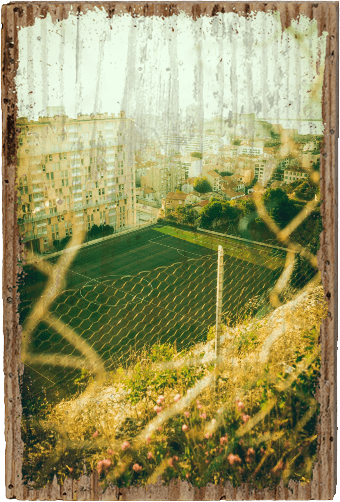 Behind the Fence - TRVL LOVR Online Shop