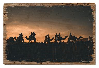 Camels - TRVL LOVR Online Shop