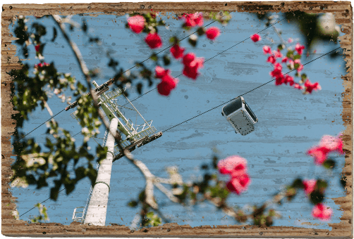 Cable Car Madeira - TRVL LOVR Online Shop