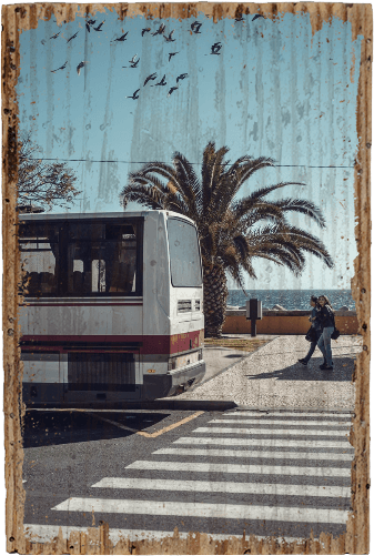 Bus to Paradise - TRVL LOVR Online Shop