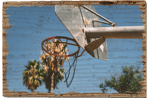 Basketpalms - TRVL LOVR Online Shop