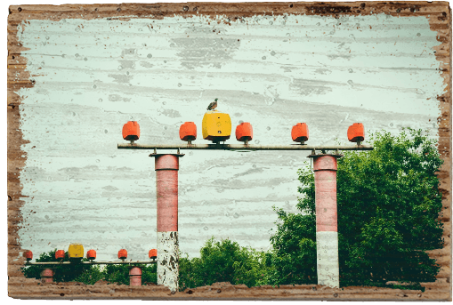 Kurze Rast - TRVL LOVR Online Shop