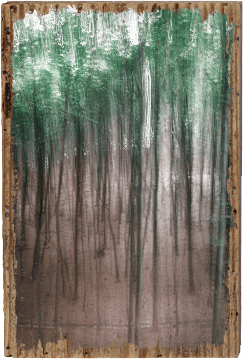 Natural Colors - TRVL LOVR Online Shop