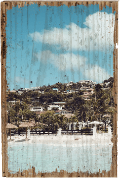 Paradise Beach - TRVL LOVR Online Shop