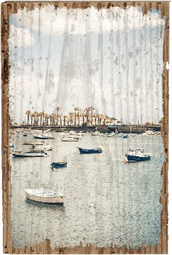 Palm Harbor - TRVL LOVR Online Shop