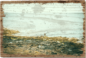 Gassi gehen - TRVL LOVR Online Shop