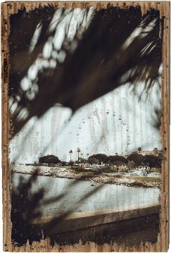 Grande Roue - TRVL LOVR Online Shop