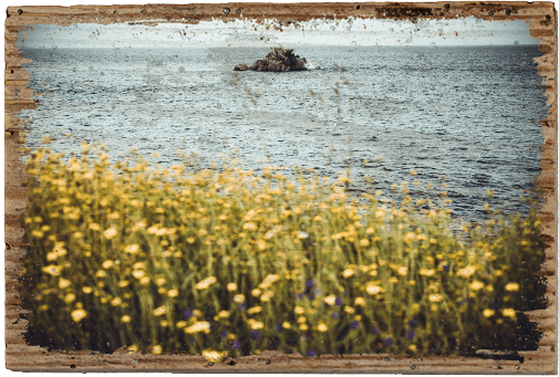 Behind beautiful Flowers - TRVL LOVR Online Shop