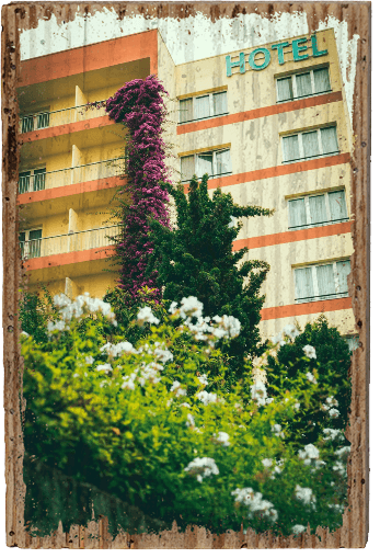 Flower Hotel - TRVL LOVR Online Shop