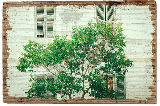 Maison Nature - TRVL LOVR Online Shop