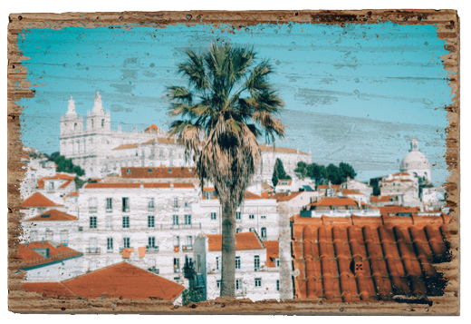 White Lisbon - TRVL LOVR Online Shop