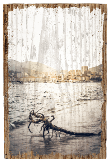 Strandgut - TRVL LOVR Online Shop