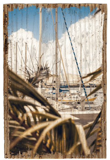 Boat Harbor - TRVL LOVR Online Shop