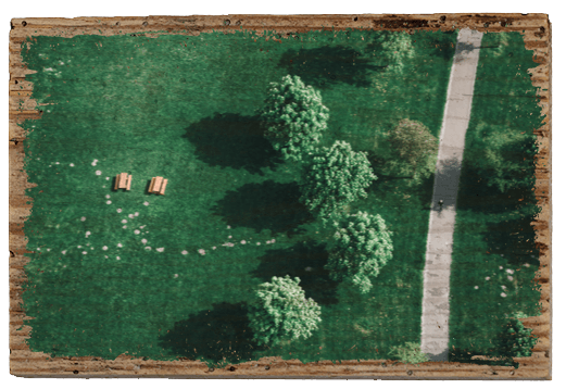 Picknick im Grünen - TRVL LOVR Online Shop