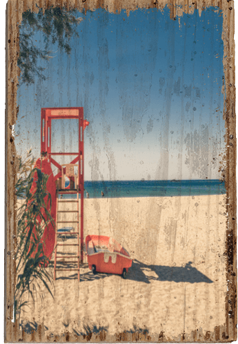 Life Guard - TRVL LOVR Online Shop