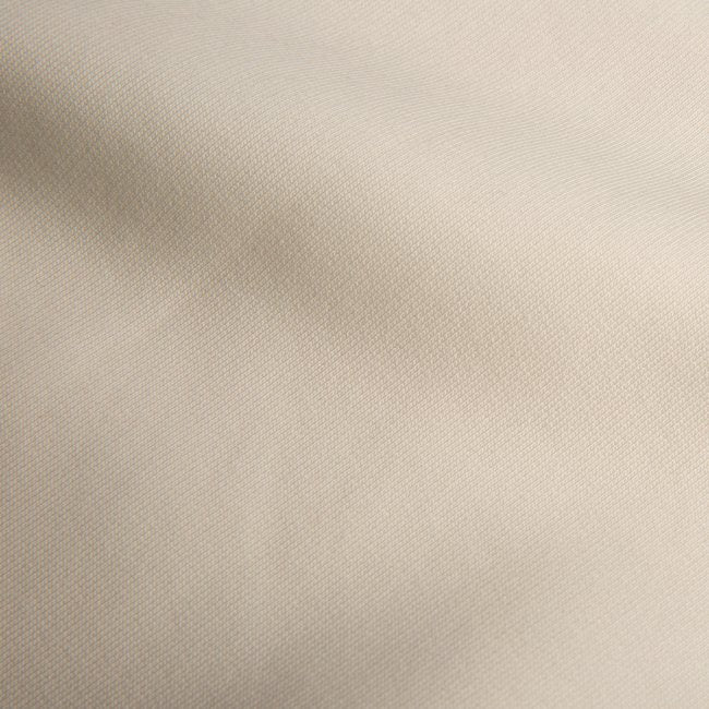 PISA | Hoodie