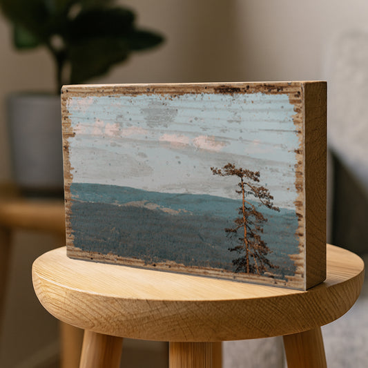 ABOVE THE FOREST
