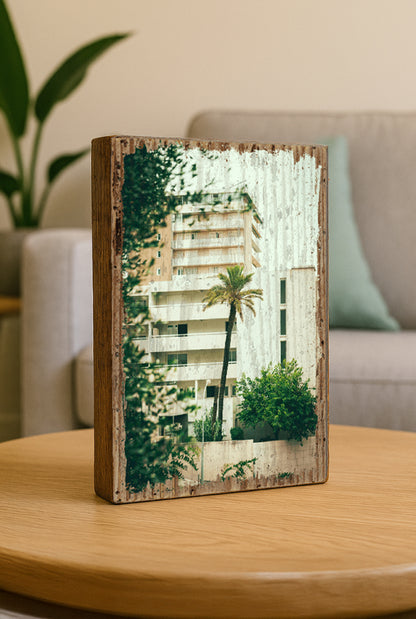BACKYARD PALM TREE