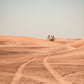 Into the Desert