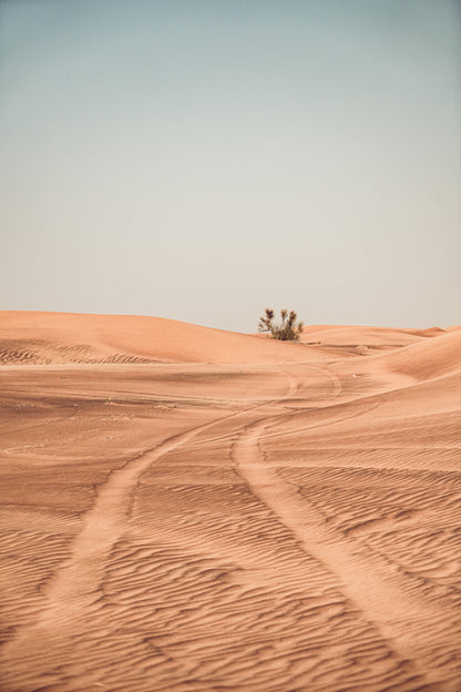 Journey into the Desert