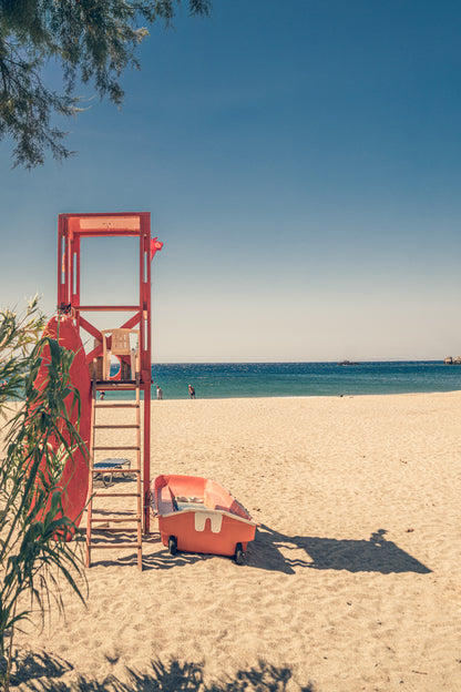 Lifeguard