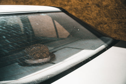 The Hat inside a Car