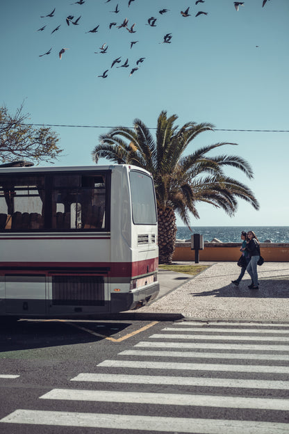 Bus to Paradise