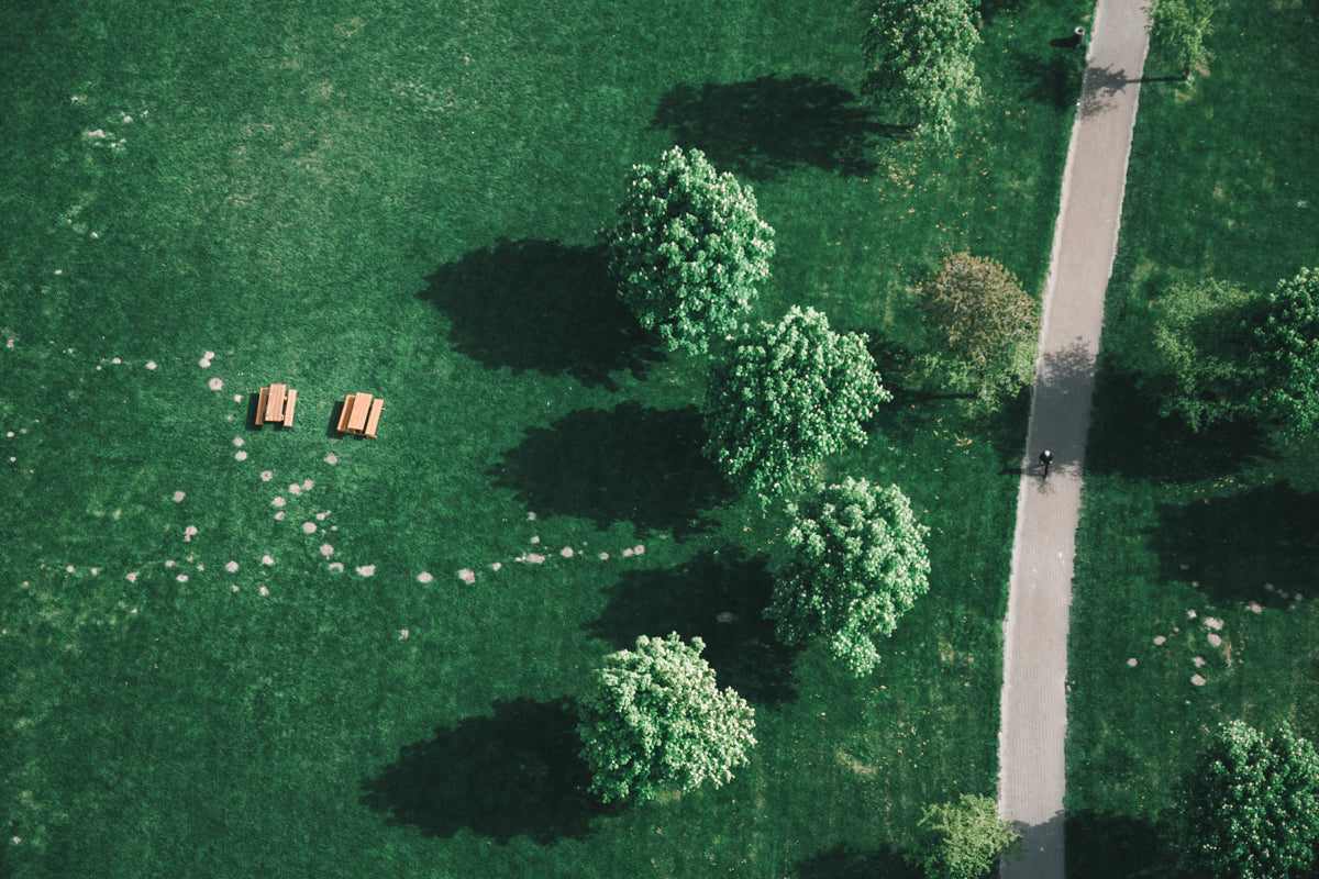 Picnic in the Countryside