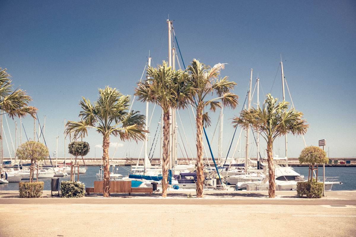 Summer Boat - TRVL LOVR Online Shop