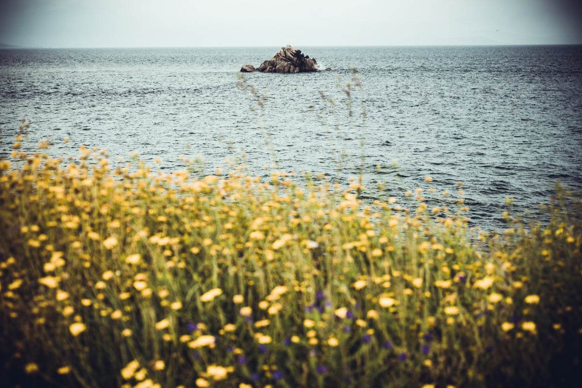 Behind beautiful Flowers - TRVL LOVR Online Shop