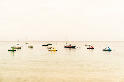 Variety of Boats