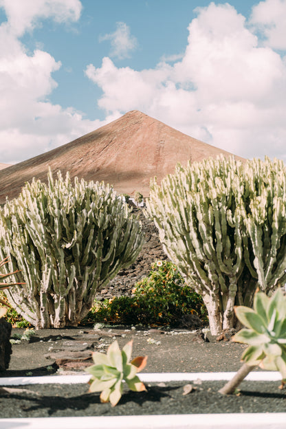 Camino Natural de Fuerteventura