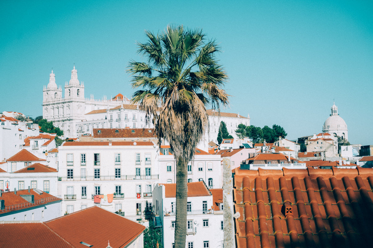 White Lisboa