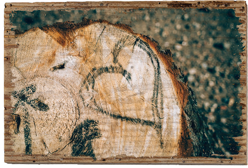 Carved in the Wood