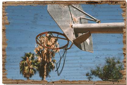 Basketpalms - TRVL LOVR Online Shop